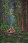 Scene with a Fire